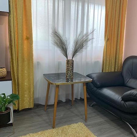 Garsoniera Madalina Διαμέρισμα Σίμπιου Εξωτερικό φωτογραφία